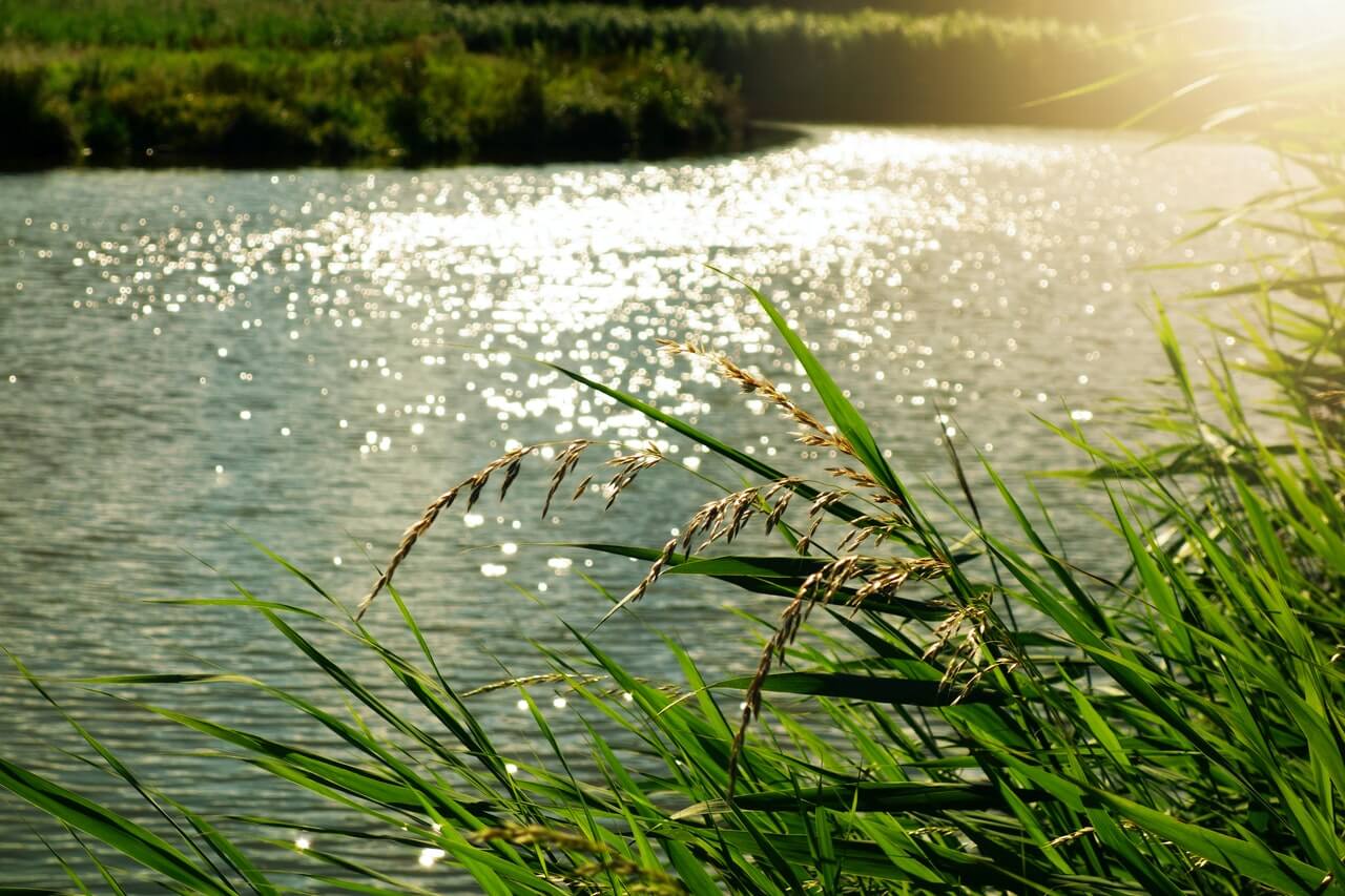 правила поведения на воде для детей