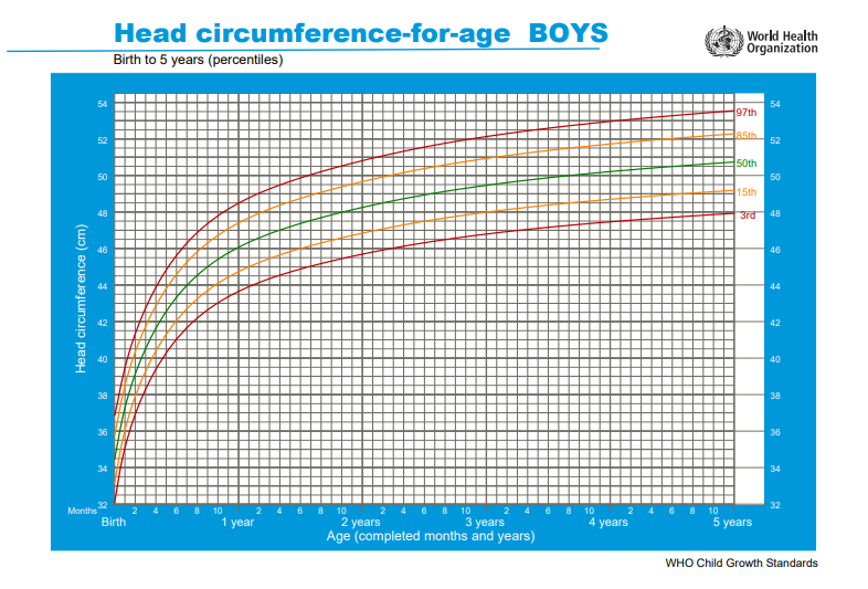 окружность головы у ребенка