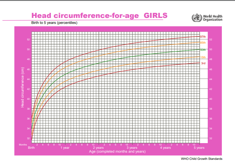 окружность головы ребенка