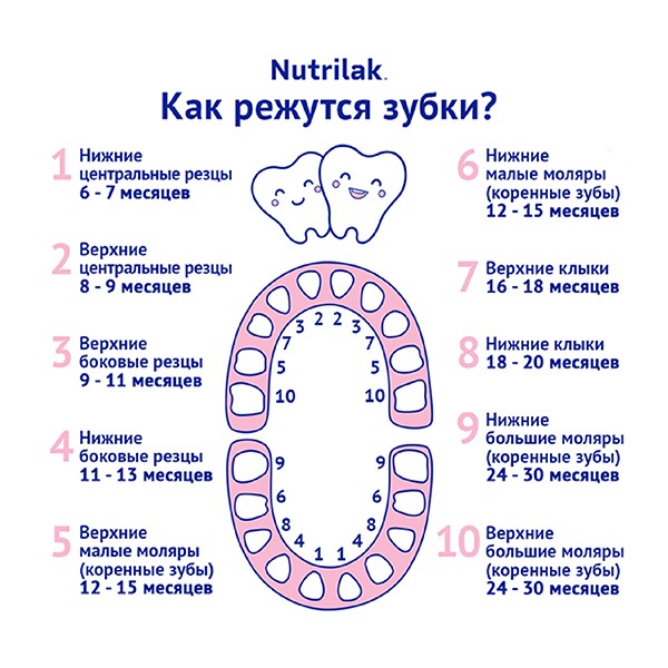 Как режутся зубки.jpg