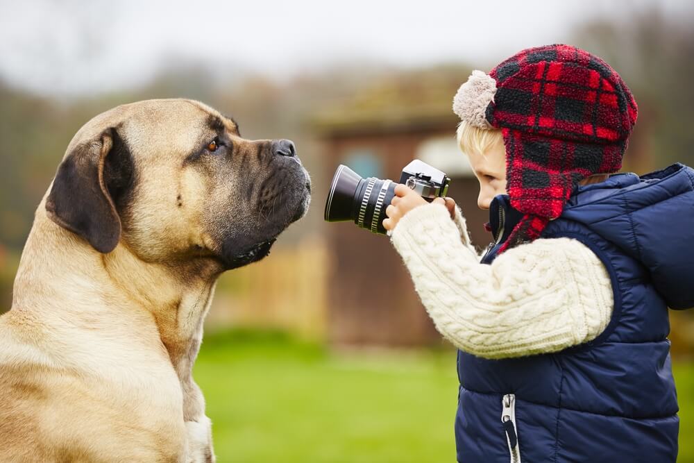 В семье растёт фотограф! Как выбрать идеальный детский фотоаппарат для ребёнка?